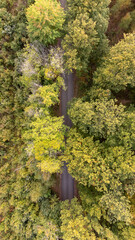 Wall Mural - Top view of deciduous forest and a path, seen from above, aerial, bird's eye view. Autumn landscape, trees that begin to get fall colors. Vertical, 9:16, drone photography taken in Sweden.	