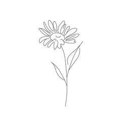 Wall Mural - Vector isolated one camomile flower colorless black and white contour one single line easy drawing