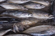 © RP007 - Fish in ice at fishmarket