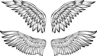 Bird wings vector illustration tattoo style. Hand drawn design element.