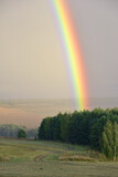 Fototapeta Tęcza - Rainbow after autumn rain.