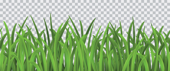 Wall Mural - bright vector green grass seamless pattern on transparent background
