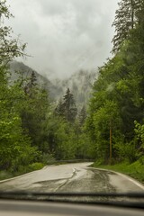 Sticker - Mesmerizing vertical view of a highway road through a green forest on the hillside on a rainy day