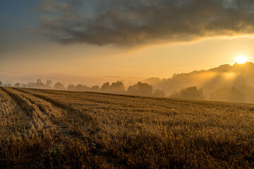 Wall Mural - Paysage campagne 1438