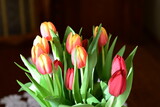 Fototapeta Kwiaty - fresh tulips in a vase , nature, tulipany, kwiaty, kwiaty w wazonie, Poland