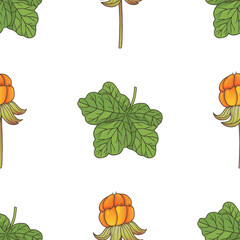 vector graphic seamles pattern with rubus chamaemorus