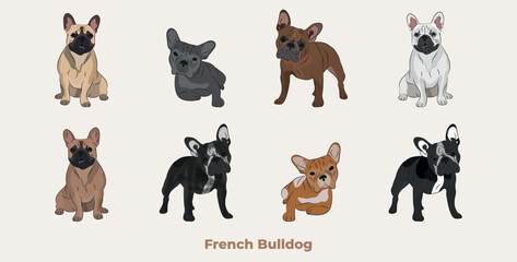 Wall Mural - French bulldog breed, dog pedigree drawing. Cute dog characters in various poses, designs for prints adorable and cute Bulldog cartoon vector set, in different poses. All popular colors.