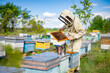 Man in protective uniform working on a small apiary. Beekeeper working with honeycombs in uniform.