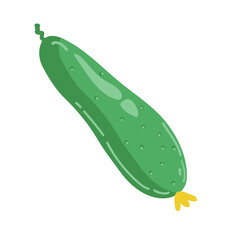 Wall Mural - Vector illustration of cucumber isolated on white background. Green pickled cucumber.