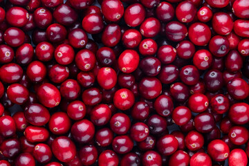 Wall Mural - Cranberry bio background, food background.