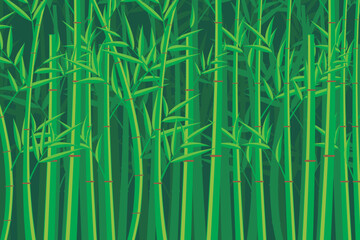 Wall Mural - vector bamboo tree. illustration of a bamboo forest. bamboo tree pattern