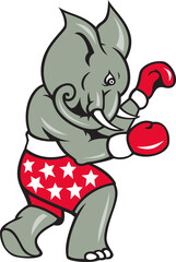 Wall Mural - Elephant Boxer Boxing Stance