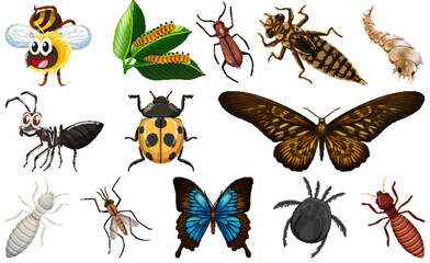 Sticker - Different kinds of insects collection