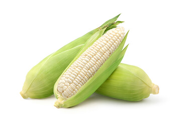 Wall Mural - Fresh white corn isolated on white background. Clipping path.