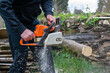 © Roberto - Lumberjack cutting wood tree with a power saw in a forest in Spain