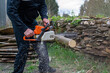 © Roberto - Lumberjack cutting wood tree with a power saw in a forest in Spain