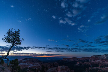 Wall Mural - blue hour at bryce canyon