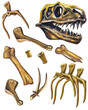Dinosaur bones. paleontology and archeology. Tyrannosaurus Rex skeleton. Watercolor drawing.