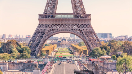 Wall Mural - eiffel tower in paris viewed from the trocadero