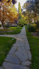 Wall Mural - Path inside a park full of trees