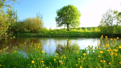 Aufkleber - Breathtaking spring morning on meadow near river with blooming wild flowers.
