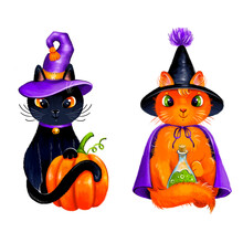 Set With Two Black And Red Halloween Cats With Potion And Pumpkin.