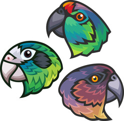 Wall Mural - Stylized Parrots - Festive Amazon, Hispaniolan Amazon and Imperial Amazon