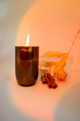 Soy Wax Candle in Amber Glass with pumpkins on pink gradient background. Autumn mood.