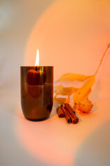 Soy Wax Candle in Amber Glass with pumpkins on pink gradient background. Autumn mood.