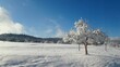 zimowy krajobraz, panorama z lasem, drzewa pokryte śniegiem, świeże powietrze, tło lasu, błękitne niebo, zaśnieżona łąka, zima w Polsce