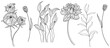© ARTSTOK - Illustration of abstact flowers. Line png art.