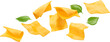 Square slices of processed cheese isolated