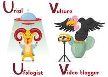 Latin Alphabet ABC Animal Professions Starting With Letter U Urial Ufologist And Letter V Vulture Video Blogger In Cartoon Style.