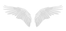 Vector Realistic Angel Wings Isolated On Transparent Background