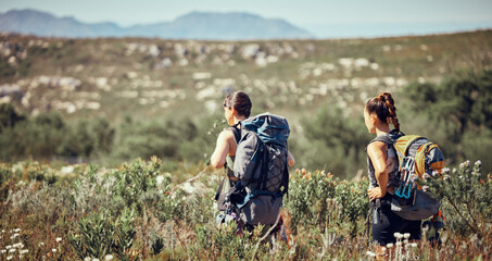 Poster - Workout friends or women hiking, fitness or exercise with walking in nature on mountain dust path. Health, training or sports girl in nature environment with freedom, trees or travel outdoor trekking