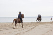 © Miroslawa Drozdowski - riders on horses on the beach in Renesse, Zeeland, the Netherlands