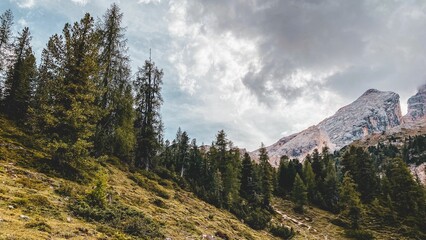 Poster - Beautiful landscape of forests on mountains on a cloudy day