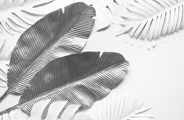 Wall Mural - Collection of tropical leaves,foliage in elegance style with silver and white color.