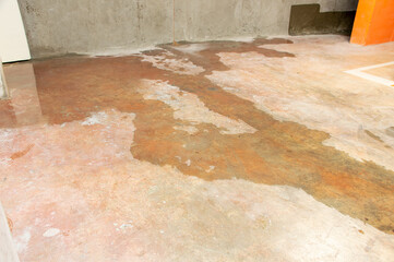 Wall Mural - Water damage in basement caused by sewer backflow due to clogged sanitary drain