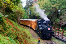 A Tourist Train Of Retro Carriages Traveling Thru The Lush Forest And People, On The Paved Hiking Path, Taking Photos Of The Antique Steam Locomotive, In Alishan National Scenic Area, Chiayi, Taiwan