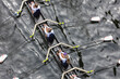 © Mint Images - Overhead view of female crew racers rowing in an octuple racing shell, an eights team.