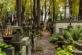 Fototapeta  - Zabytkowy cmentarz w centrum Warszawy. Stare Powązki.