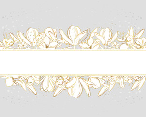 Wall Mural - Vector banner with magnolia flowers on a gray background. Line art style.	