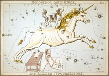 Zodiac In 1824 Urania's Mirror Monoceros Board Panels From Vectors