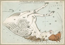 Zodiac In 1824 Urania's Mirror Pegasus, Board Panels From Vectors