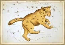 Zodiac In 1824 Urania's Mirror Board Panels Ursa Major, From Vectors