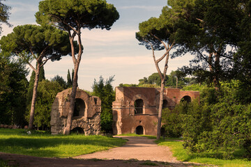 Wall Mural - Roman building on Palatine hill, Rome, Italy. Landscape of Palatine