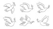 Flying dove with olive branch badge. Bird and twig symbol of peace and freedom. Pigeon icon in linear style