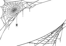 Spider Web For Cards And Background For Halloween October Holidays