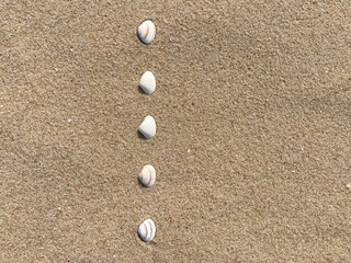 Aufkleber - Seashells arranged as bullet points in sand on beach